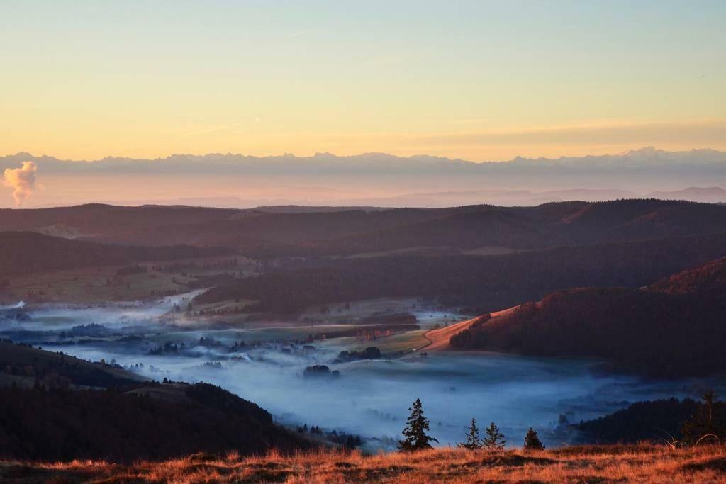 Echtes Schwarzwaldhaus - Traditionell & Modern Bernau im Schwarzwald Exteriör bild