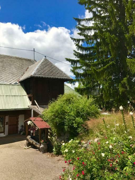 Echtes Schwarzwaldhaus - Traditionell & Modern Bernau im Schwarzwald Exteriör bild