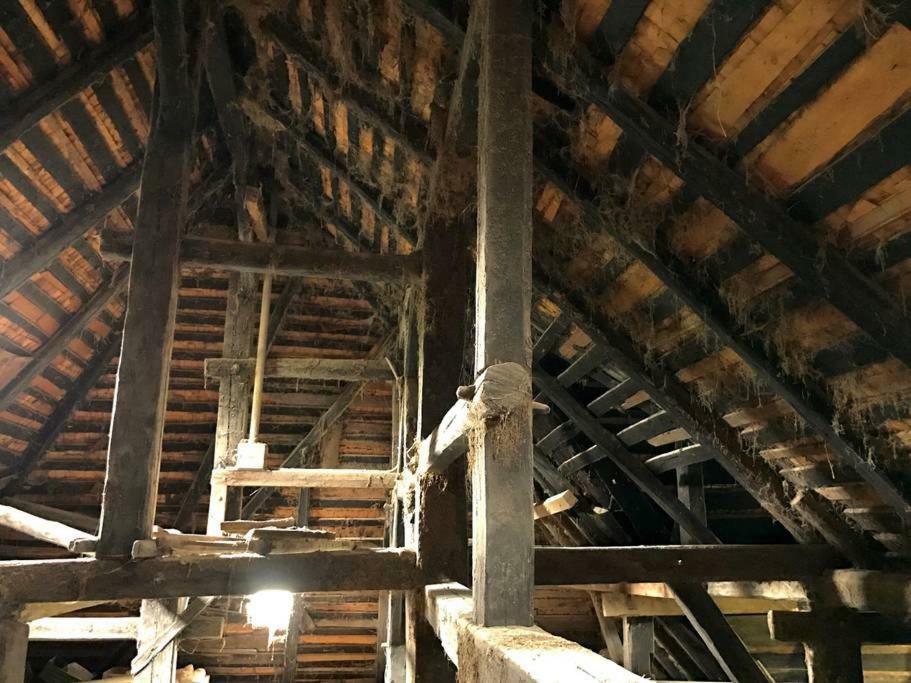 Echtes Schwarzwaldhaus - Traditionell & Modern Bernau im Schwarzwald Exteriör bild