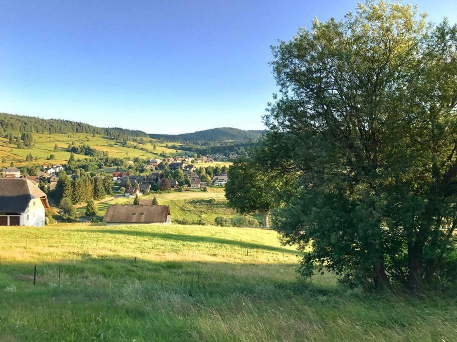 Echtes Schwarzwaldhaus - Traditionell & Modern Bernau im Schwarzwald Exteriör bild